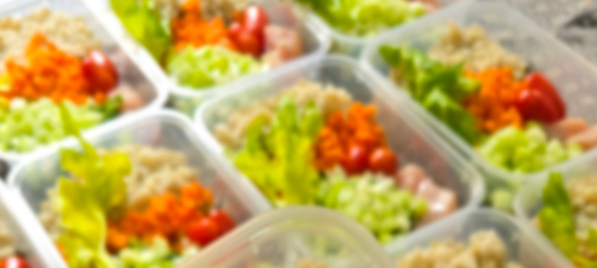 غذاهای نیمه آماده سلاتن