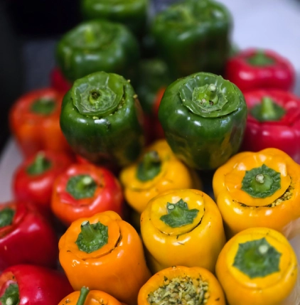 فلفل دلمه رنگی سلاتن